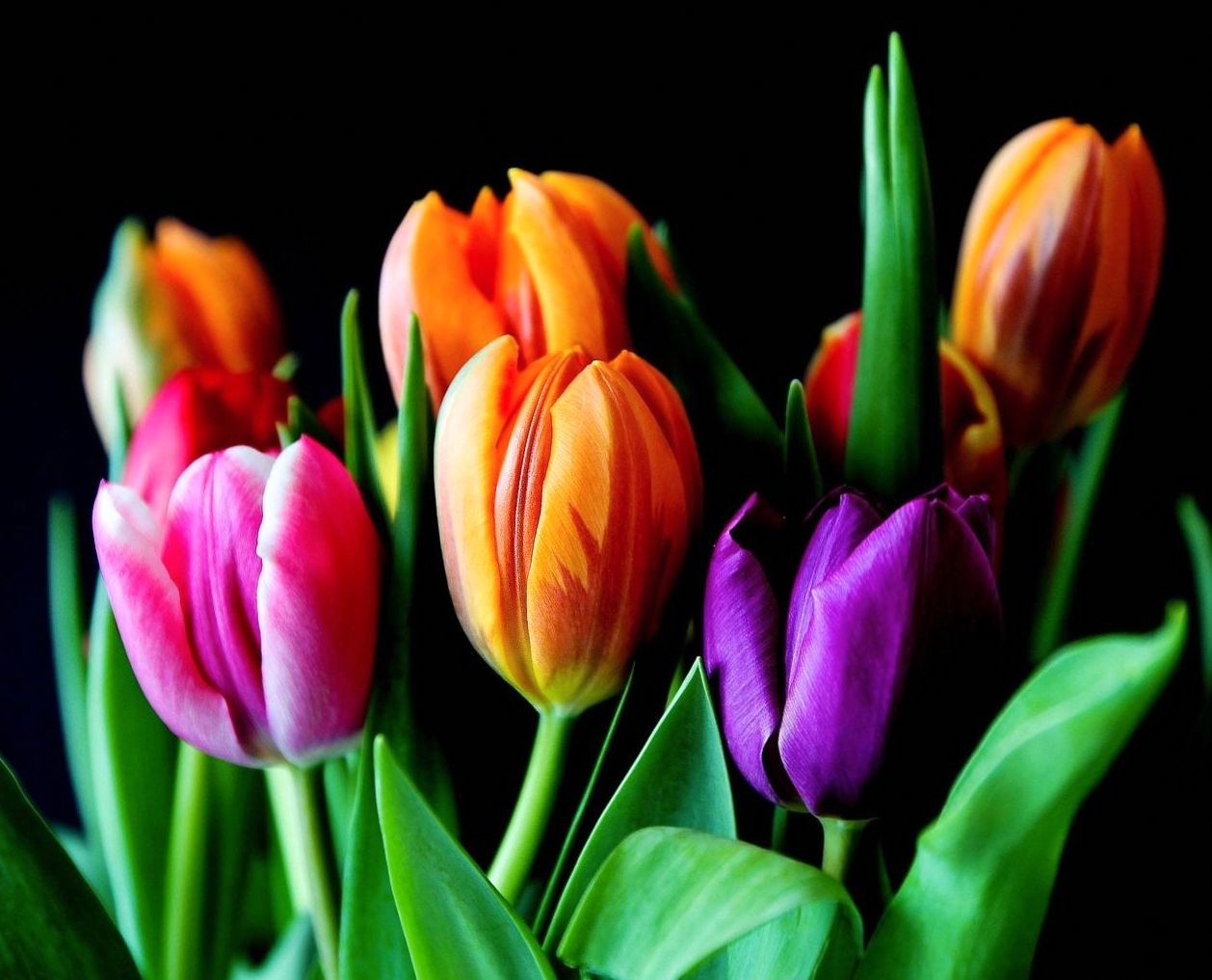Sustainable Floristry